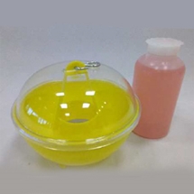 armadilha-para-vespa-asiatica